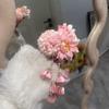 Headwear Hairpin Tassel Barrettes Fashion Lily Flower Hair Clip  Women