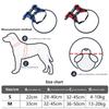 Crashproof Protective Collar for Blind Dog Stable Frame Adjustable Guide Harness Enhancing Pet Mobility Aid