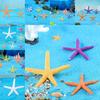 Resin Starfish Small Ornaments Sculptures Micro Landscapes Fish Tank Decorations