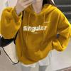 Women's Loose Hooded Sweater Coat New Autumn Winter Top