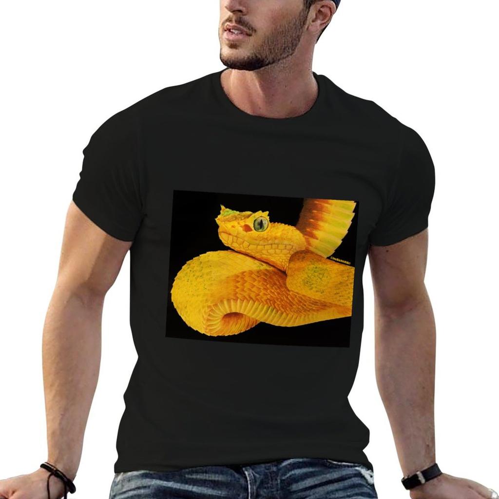 Eyelash Viper T-Shirt anime t shirts oversize t shirt for Unisex 100 percent cotton t shirts for Unisex cotton T-shirt