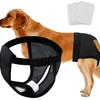 Cross-Border Dog Menstrual & Sanitary Pants - Anti-Harassment Physiological Diaper for Mother Dogs