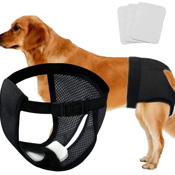 Cross-Border Dog Menstrual & Sanitary Pants - Anti-Harassment Physiological Diaper for Mother Dogs
