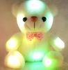 Reynolds Ave 7-Color LED Bear Plush Toy, Perfect for Gifts (Gift Wrapping Available)