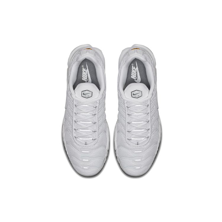 Nike Air Max Plus White Men Sneakers 604133-139