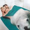 Seal Throw Blanket Loose Flannel Thin Bed Blankets