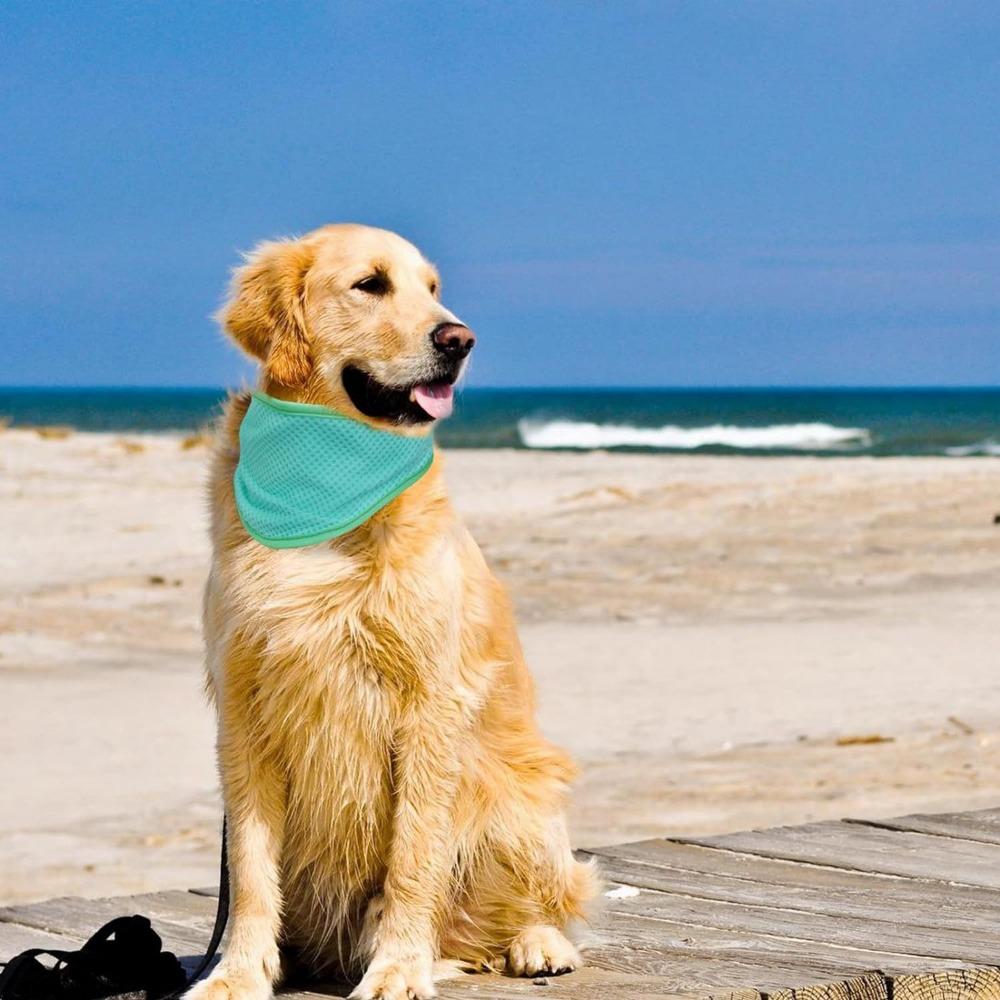 Cool Scarf Cooling Scarf Cool Ice Sensation Adjustable In Summer Cooling Headscarf Avoid Heat Stroke