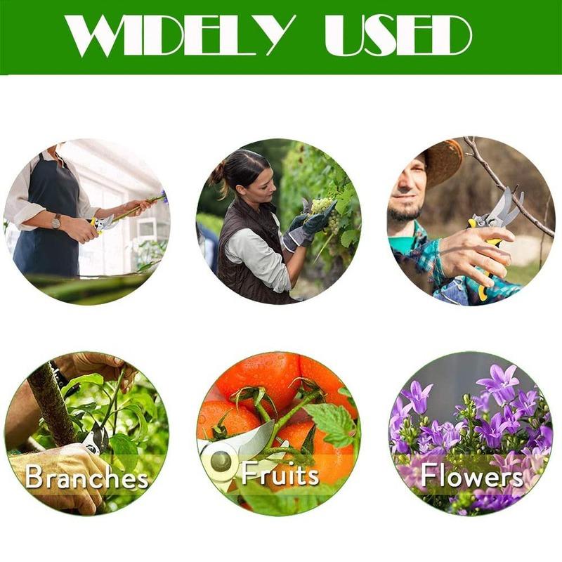 Nůžky Zahradní nůžky Profesionální Ostrý Bypass Zahradní nůžky Nůžky na stromy Zahradnické nůžky Ruční nůžky na zahradnické nůžky na zobáky