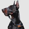 No-Pull Dog Head Collar Adjustable Dog Head Halter with Padded Nose Band Reflective Training Muzzle Leash for Medium Large Dogs
