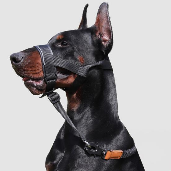 No-Pull Dog Head Collar Adjustable Dog Head Halter with Padded Nose