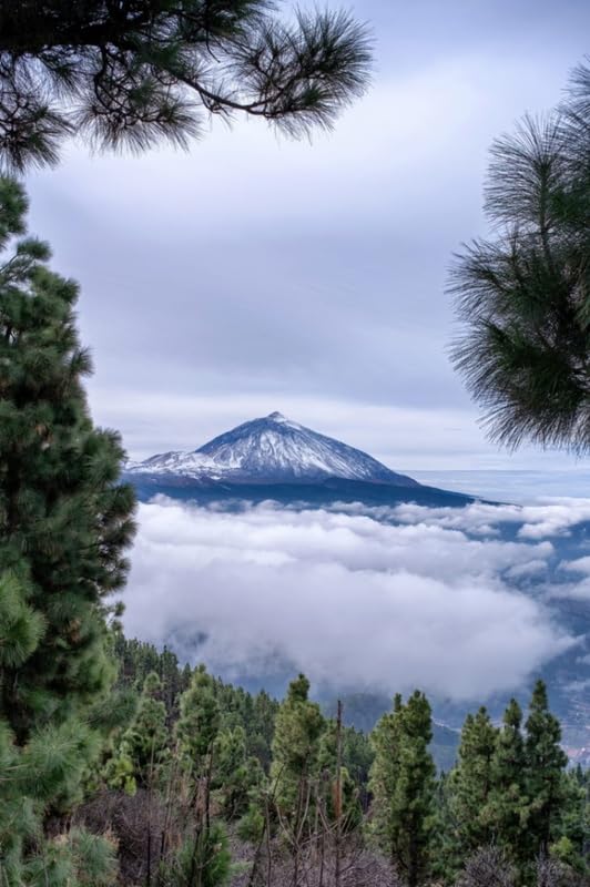 TTArtisan AF 23mm Prime Lens Autofocus Sony Interchangeable Large Mirrorless Camera Lens for Landscape and Portrait by Meisho Optical F1.8 E-Mount