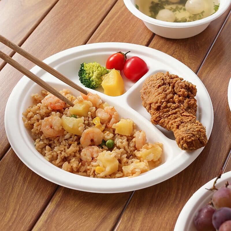 Biodegradable 9-inch 3-Compartment Pulp Plates