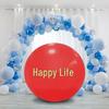 Botao Weather Observation Balloon