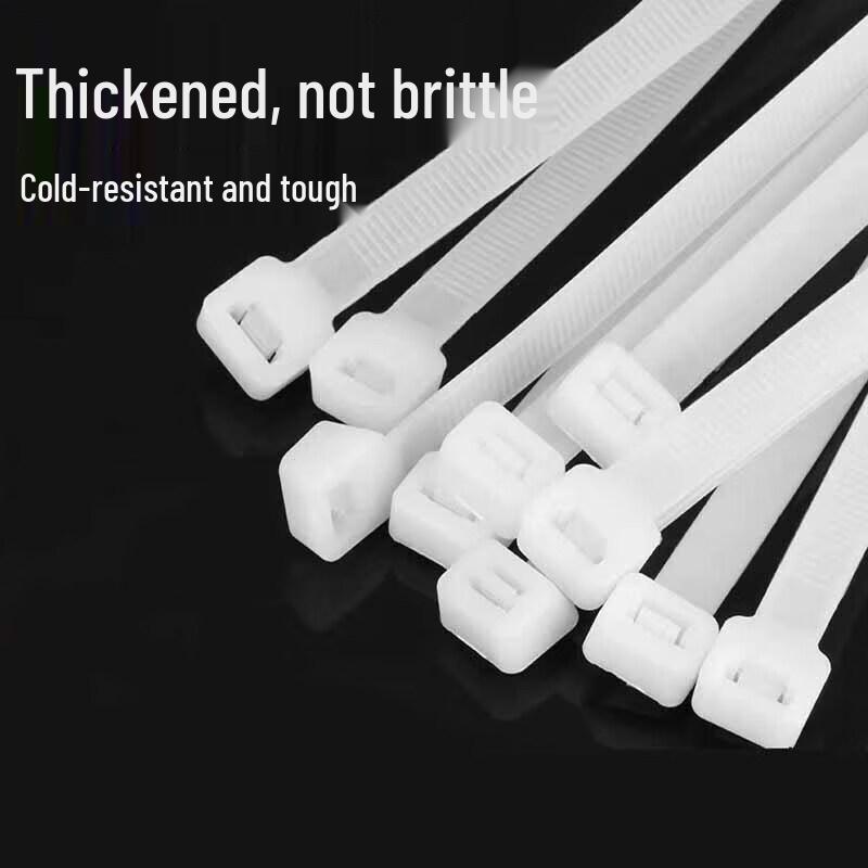 Self-locking Nylon Cable Ties