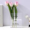 Acrylic Book Design Flower Jar Powerful Substance Prevents Accidents in Family Condition Safe for Child Pet Friendly