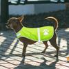 High Visibility Dogs Reflective Vest Fluorescent Ventilate Cozy Dog Safety Vest Night Safety Adjustable Dog Vis Jacket