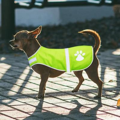 High Visibility Dogs Reflective Vest Fluorescent Ventilate Cozy Dog Safety Vest Night Safety Adjustable Dog Vis Jacket