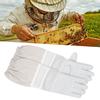 Pair Anti Sting Breathable Bee Gloves Long Sleeves Elastic Cuff Beekeeper Protective Tool with Mesh(XL )