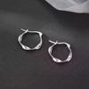 925 Sterling Silver Hoop Earrings: 2025 Modern Niche Design - Elegant & Luxurious for Women