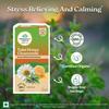 ORGANIC INDIA Tulsi Honig Kamille Aufguss 25 Teebeutel, Bio-zertifiziert, Entspannendes und beruhigendes Getränk