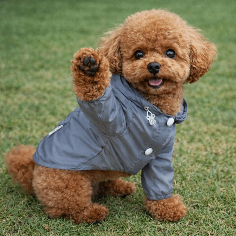 Fast Drying Pet Sun Protection Clothing Adjustable Breathable Dog Cooling Coat Lightweight Dog Casual Outerwear Spring Summer