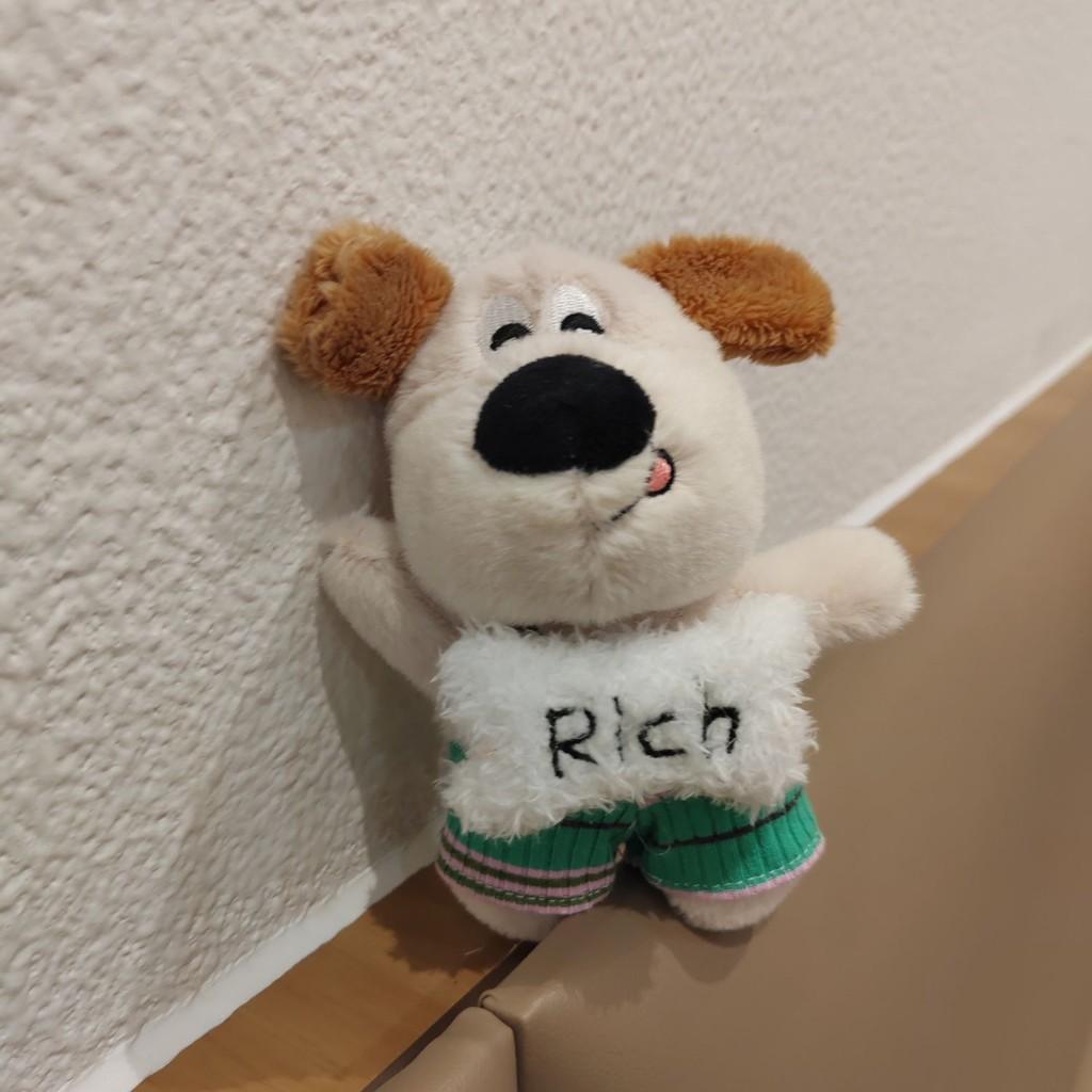 Adorable Cartoon Dog Plush Keychain Soft And Cuddly Cute Dog Character For Home Decor