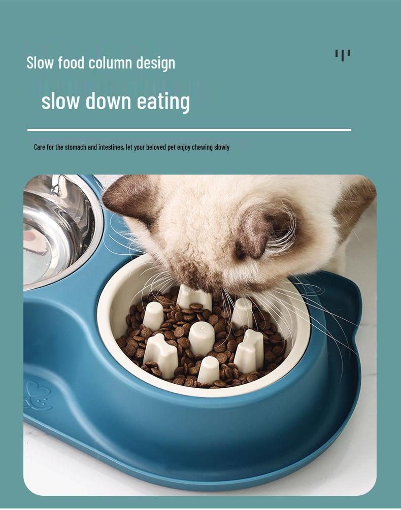 Anti-Leak Anti-Tip Double Pet Bowl: Slow Feeder Cat/Dog Dish & Water Dispenser