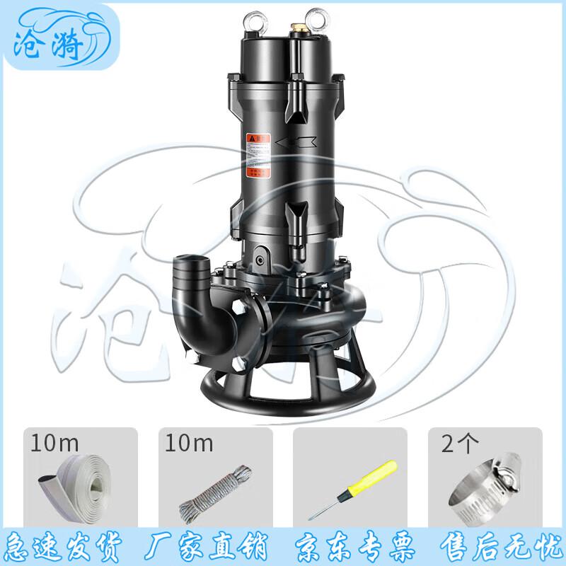 Cangyi Emergency Industrial Drainage Pump