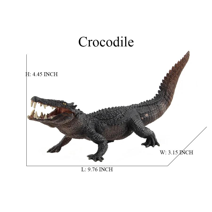 Komodo varāns Krokodils Čūska Pitons Rāpuļi