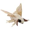 25cm Peluche Carini Insetti Bombole Falene Fedeltà Bombole Peluche Animali Insetti Bambola Imbottita Simulazione Giocattolo Kawaii Giocattoli per Bambini