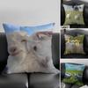 Sheep Cute Cushion Cover Pillowcase Ultra Soft Skin Friendly Fabric Cloud Like Comfort  Concealed Zipper
