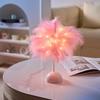Feather Night Light Table Lamp LED Romantic Bedside Lamp for Girls Room Wedding Party Decor Battery Powered Decorative Accent Light for Home Birthday