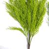 A Single Artificial Green Plant Bundle of Cedar Pine Flower Arrangement Living Room Home Bonsai Decoration