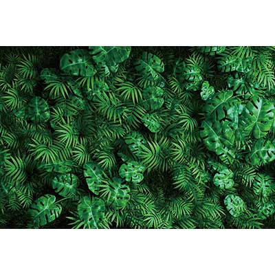 MOON.QG Tropical Leaves Backdrops Spring Garden Backgrounds Green Grass Photo Wall Customized Name Birthday Wedding Photocall