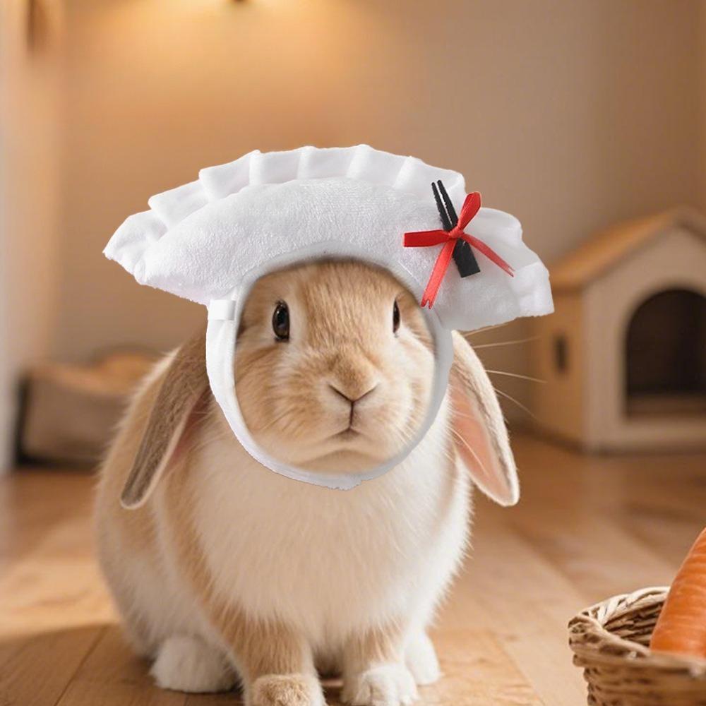 Guochao pet dumpling head cover cat guinea pig cartoon hat cross-dressing photo pet jewelry rabbit dumpling head cover
