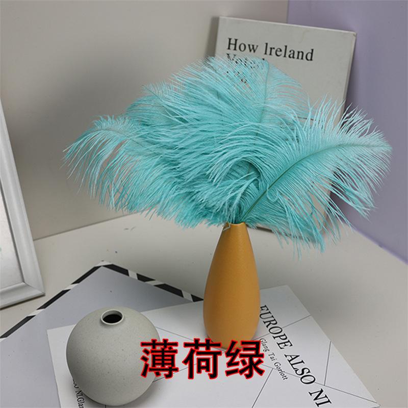 10 STÜCKE 20-25Cm Straußenfeder Bühnenauftritt Feder Handgefertigt DIY Schmuck Dekomaterial Straußenhaar