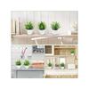 1PCS Artificial Potted Plant Scene Desktop Home Office Shelf Decor Tabletop Landscape Bonsai Wedding Room Party Accessories Vine