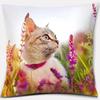 Cat Print Home Decoration Pillowcase Cute Cat Decorative Pillowcase Living Room Sofa Office Seat Cushion Cover
