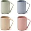 Eco-Friendly Wheat Straw Bamboo Biodegradable Tableware Fast