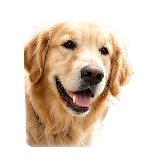 Cute Dog Peeking Window Static Window Cling Sticker Funny Animal Removable Double Sided