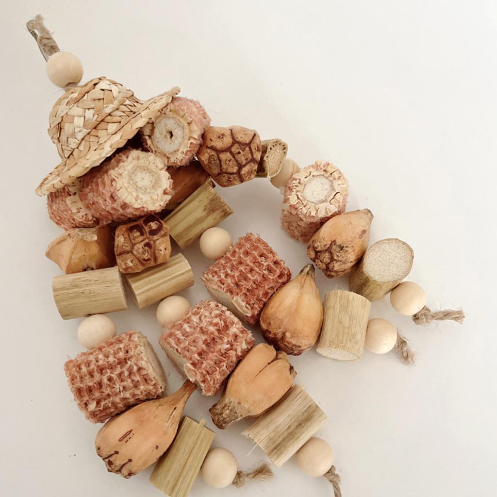 Natürliches Papageienspielzeug, farbenfrohes Hängespielzeug für Vögel, Schnabelschleiftraining für mittelgroße und kleine Vögel