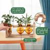 1 Stück Hydroponische Pflanzen Terrarium Vasen Tischdeko Blumentopf Pflanzenbehälter Desktop Glas Pflanzgefäß für Heim- und Bürodekoration