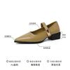French Pointed Thick Heel Mary Jane Shoes Women's Spring 2025 New One-word Belt Low Heel Versatile Skirt Single Shoes