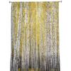 Aspen Trees Autumn Woods Window Curtains For Living Room Bedroom Kitchen Chiffon Sheer Window Treatment