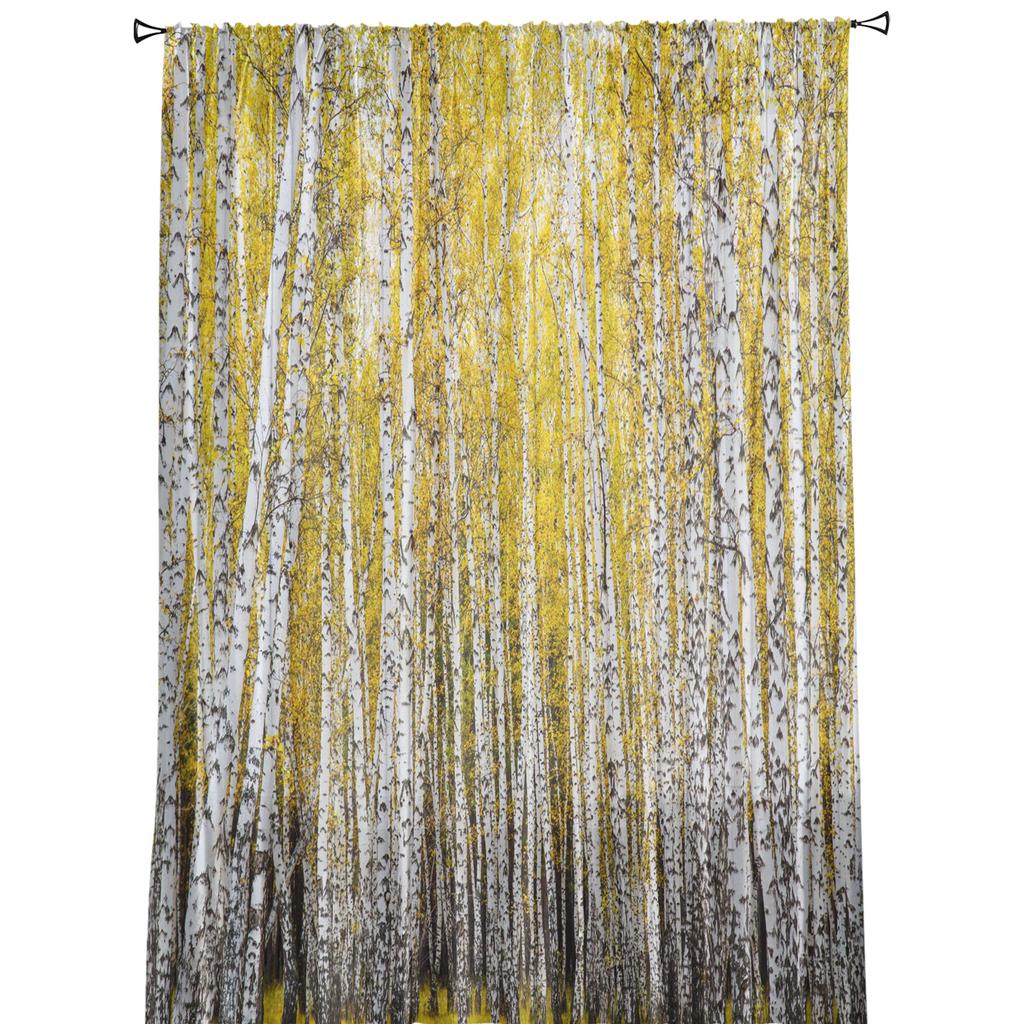 Aspen Trees Autumn Woods Window Curtains For Living Room Bedroom Kitchen Chiffon Sheer Window Treatment