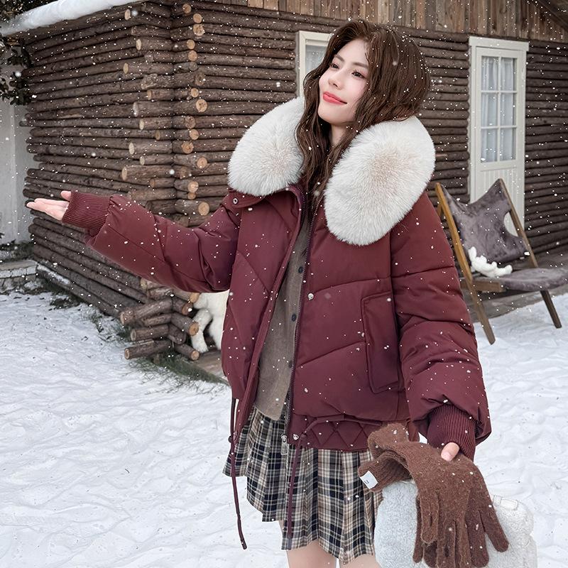 

Женское зимнее модное хлопковое пальто с толстым меховым воротником - Теплое, милое и морозостойкое M (suggested for under 110 jin)