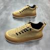 Men's shoes 2026 Spring and Autumn new casual shoes Korean version low top board shoes comfortable and trendy to step on