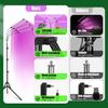 Illuminazione professionale – Lampade per coltivazione indoor