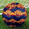 Arizona Cardinals Indoor Soccer Ball Size 5 Colorful All Ages Machine Stitched PVC Competition Ready Durable High-Bounce