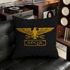 Retro Spqr Roman Empire Pillow Case Antidustmite Pillowcase Invisible zipper silky short plush Sofa cushion cover